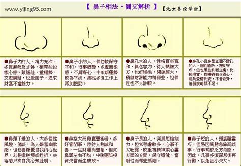 鼻子看相|鼻子看相